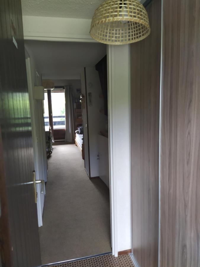 Duplex 3 Pieces. Pieds Des Pistes Et Balcon! Gresse-en-Vercors Exterior foto