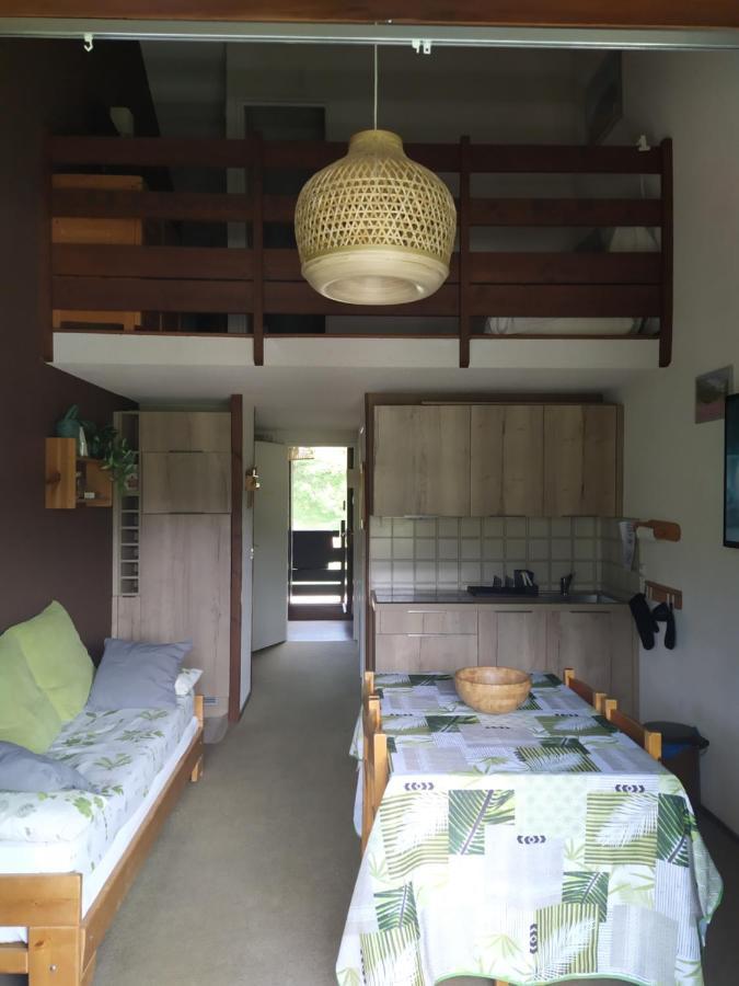 Duplex 3 Pieces. Pieds Des Pistes Et Balcon! Gresse-en-Vercors Exterior foto